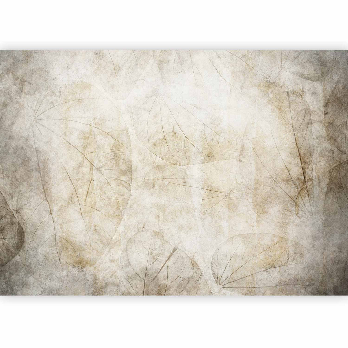 Fotobehang Beige murmurs
