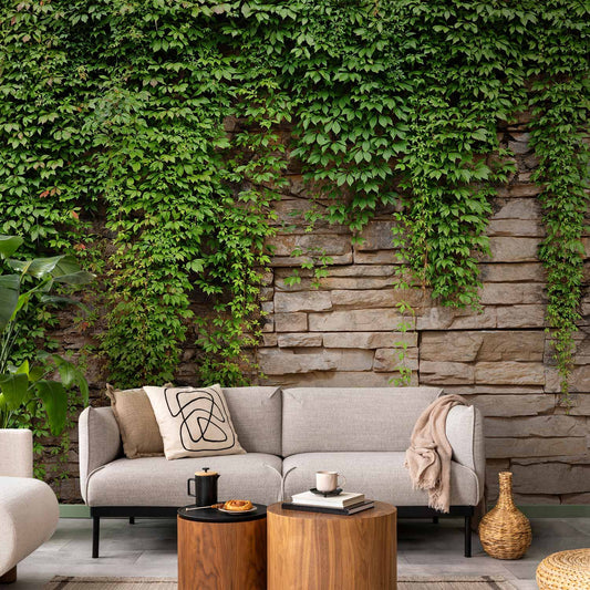 Fotobehang Ivy wall