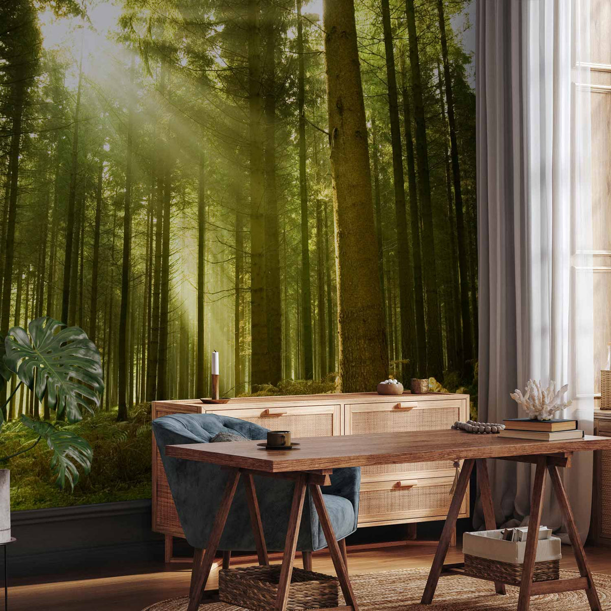 Fotobehang Pine forest – dense woodland in morning sunlight