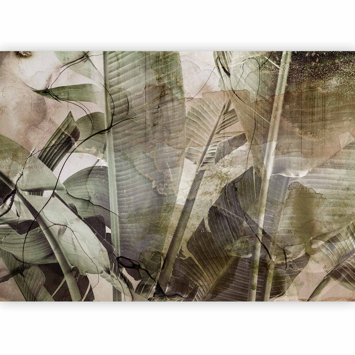 Fotobehang Banana Jungle