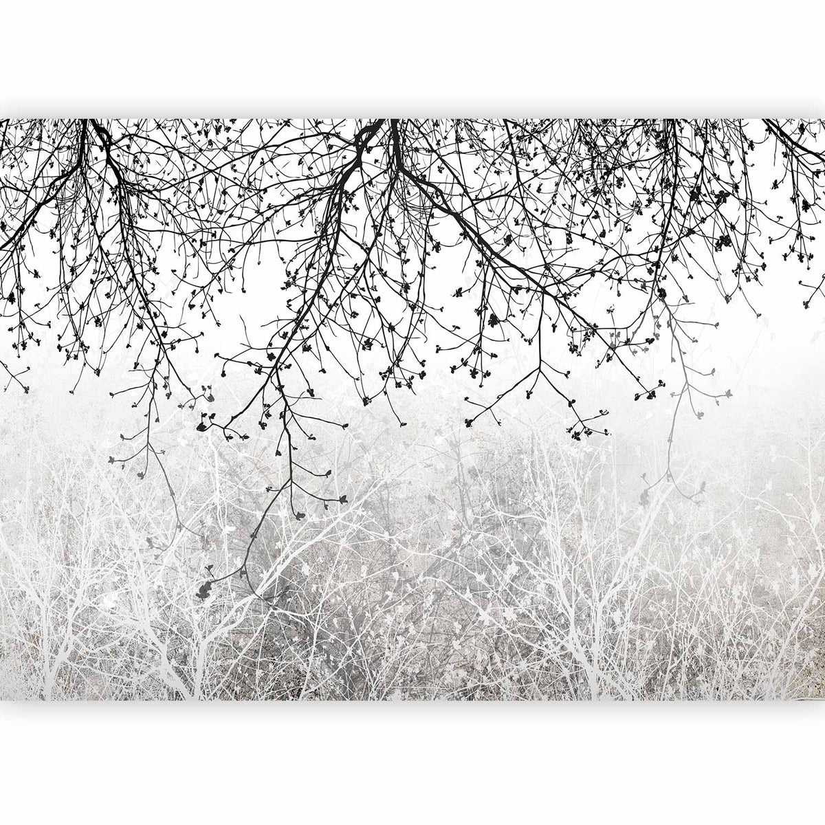 Fotobehang Natural Brightness