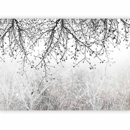Fotobehang Natural Brightness