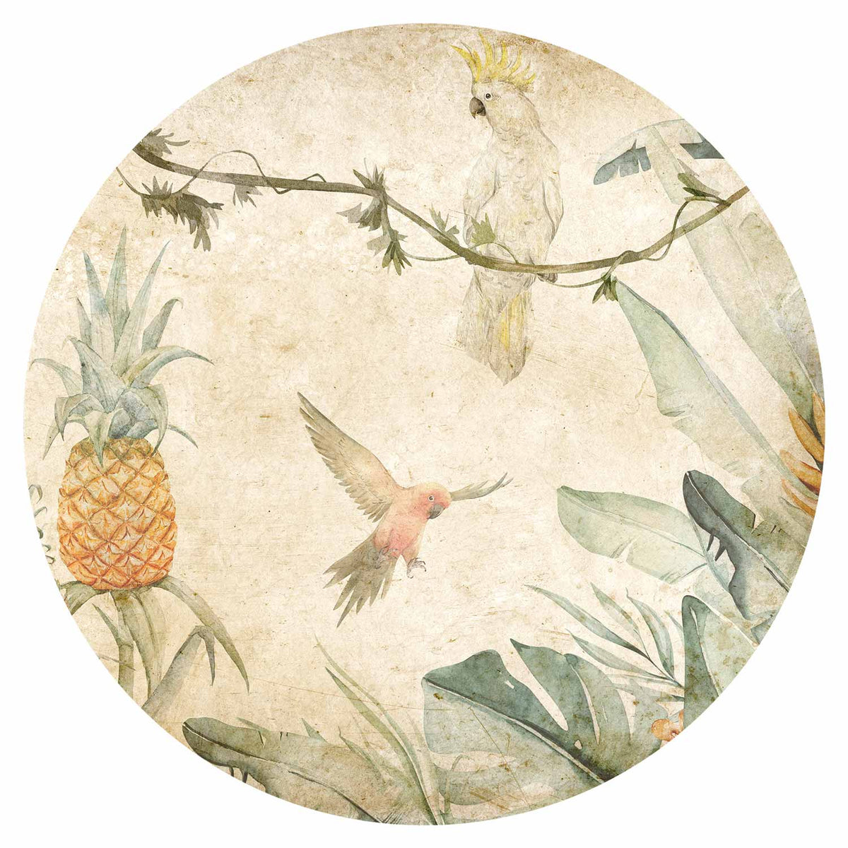 Rond fotobehang Junglepapegaaien — ontwerp