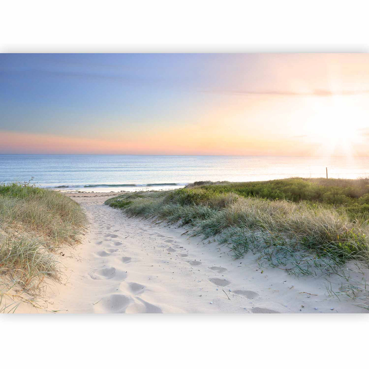 Fotobehang Morning walk on the beach