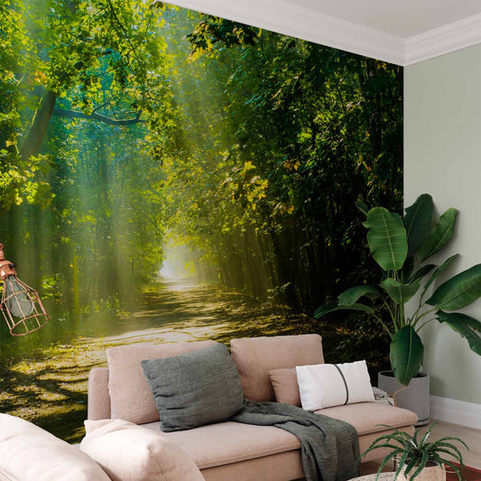Fotobehang Road in Sunlight