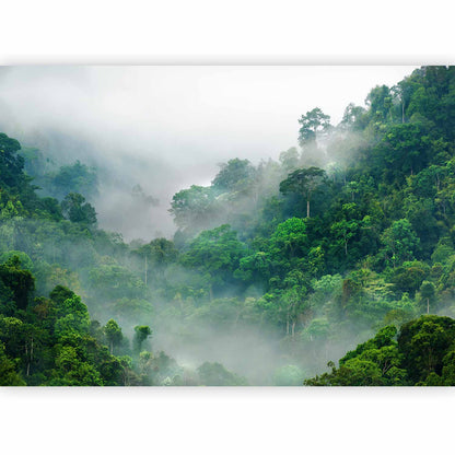 Fotobehang Morning Fog