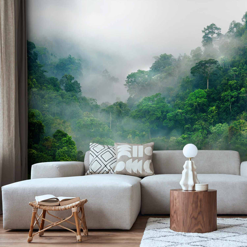 Fotobehang Morning Fog