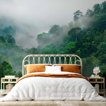 Fotobehang Morning Fog