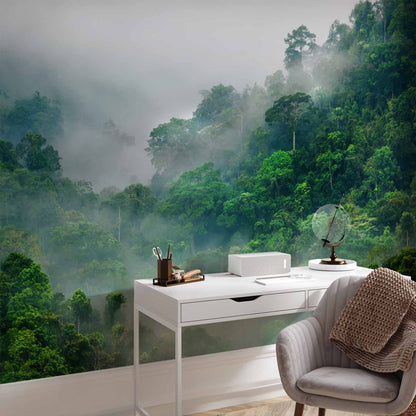 Fotobehang Morning Fog