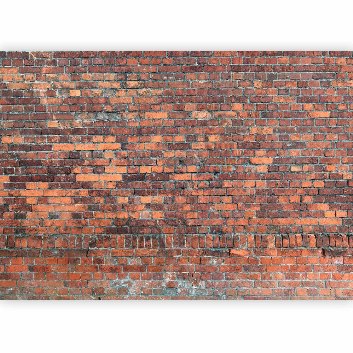 Fotobehang Vintage Wall (Red Brick)