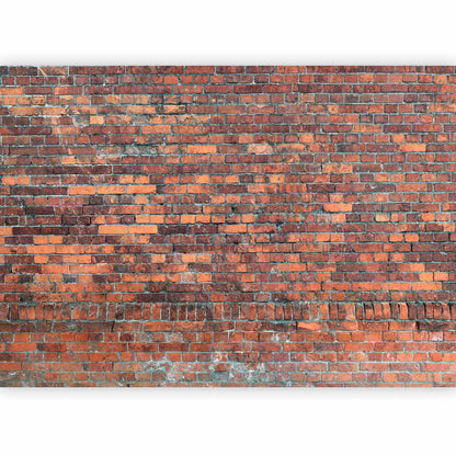 Fotobehang Vintage Wall (Red Brick)