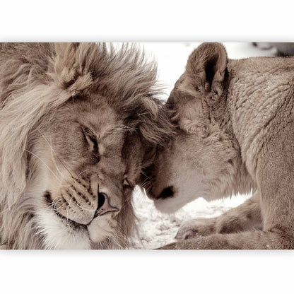 Fotobehang Lion Tenderness (Sepia)