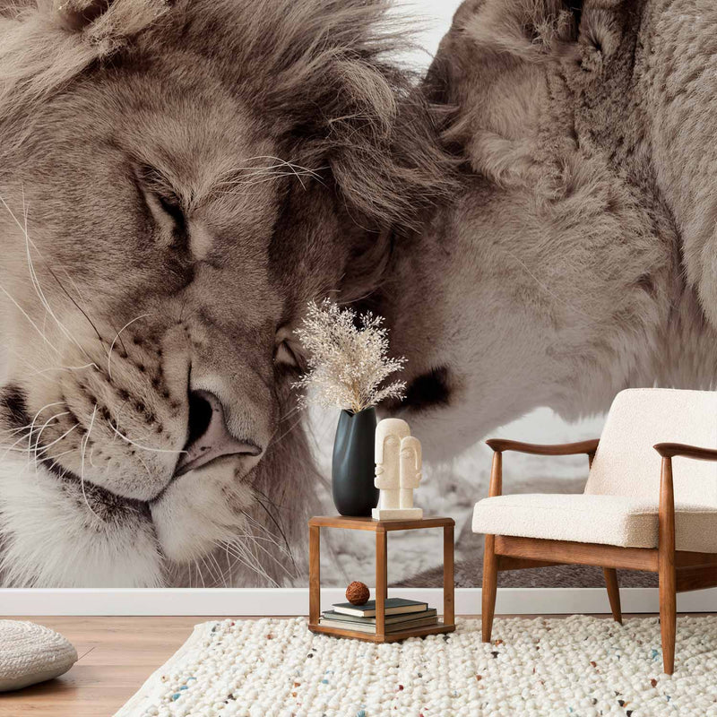 Fotobehang Lion Tenderness (Sepia)