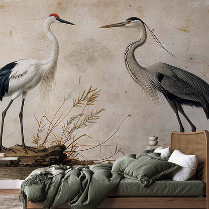 Fotobehang Birds from an old engraving - vintage-style illustration depicting a heron and a crane