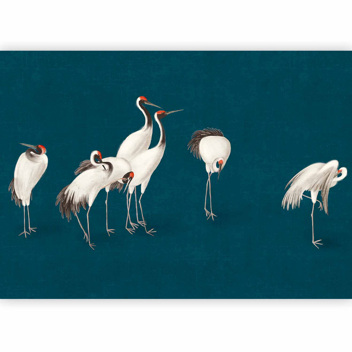 Fotobehang Evening by the pond - a group of cranes drawn in dry pastel on a dark turquoise background