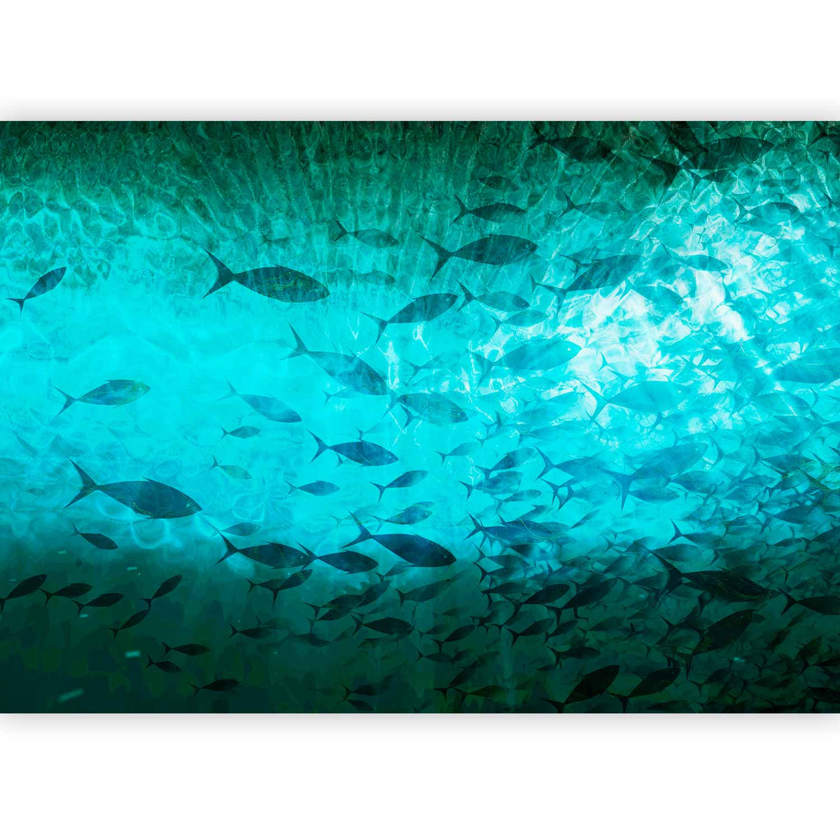 Fotobehang A shoal of dark fish