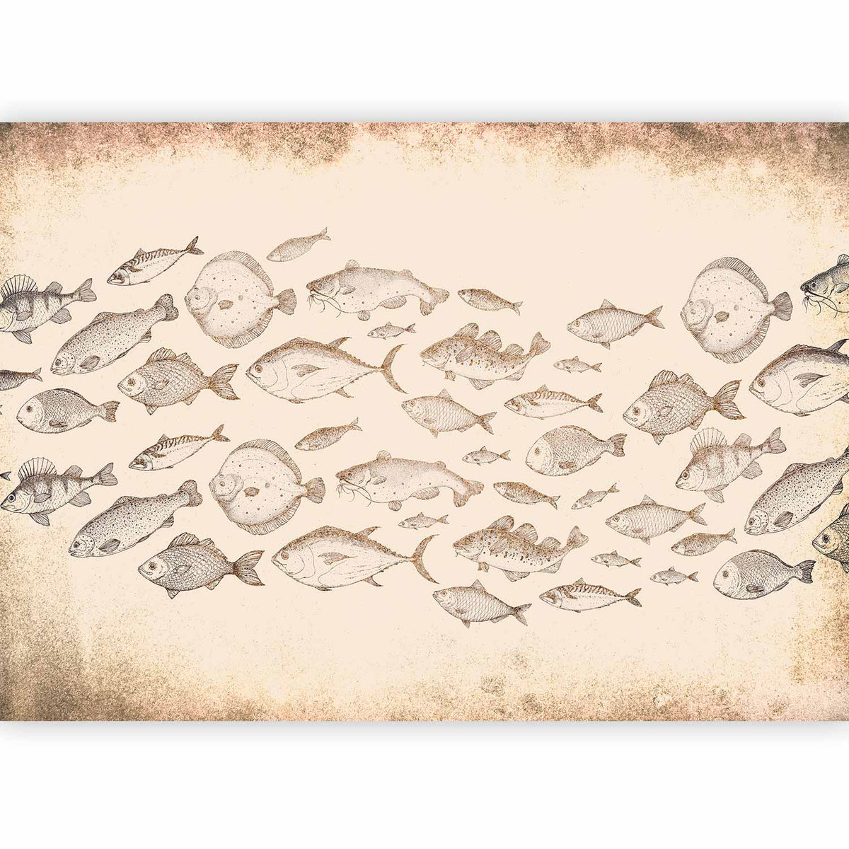 Fotobehang Subtle fish